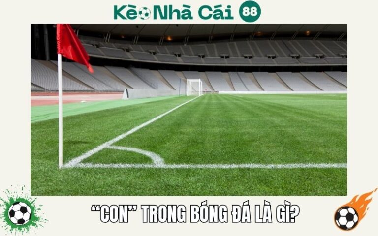 “Con” Trong Bóng Đá Là Gì? Giải Thích Đơn Giản, Dễ Hiểu Nhất