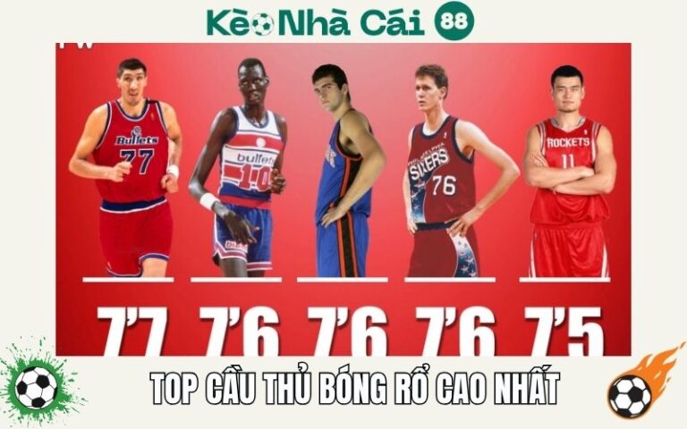 Top Cầu Thủ Bóng Rổ Cao Nhất Trong Lịch Sử - Những Con Ong Khổng Lồ 11 Top Cầu Thủ Bóng Rổ Cao Nhất Trong Lịch Sử - Những Con Ong Khổng Lồ